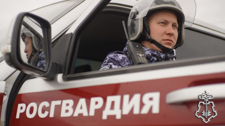 В Мордовии росгвардейцы задержали мужчину за хищение из гипермаркета
