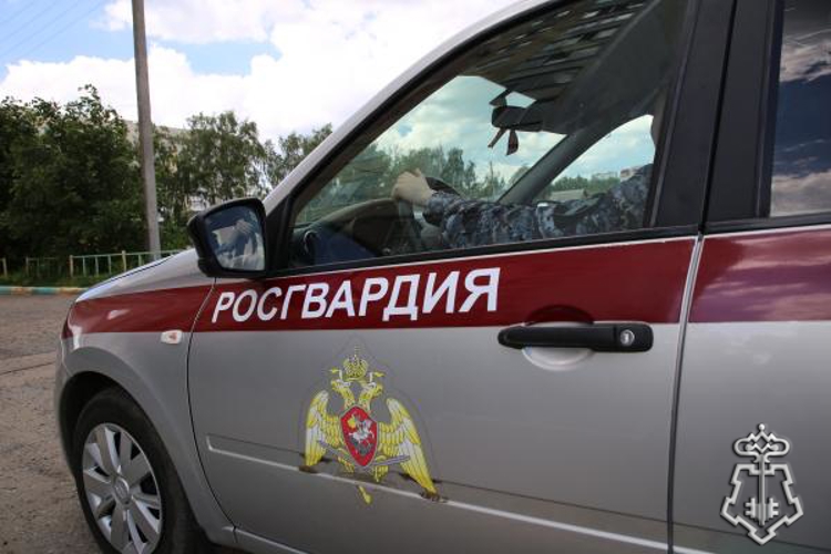  Росгвардейцы в Рузаевке пресекли нарушение административного надзора