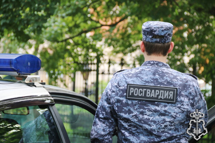 В Ардатове патруль Росгвардии задержал нетрезвого водителя