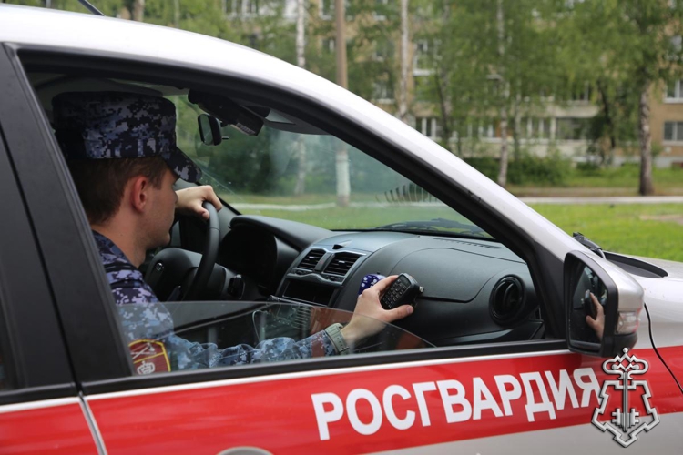 В Мордовии росгвардейцы за неделю пресекли 28 административных правонарушений