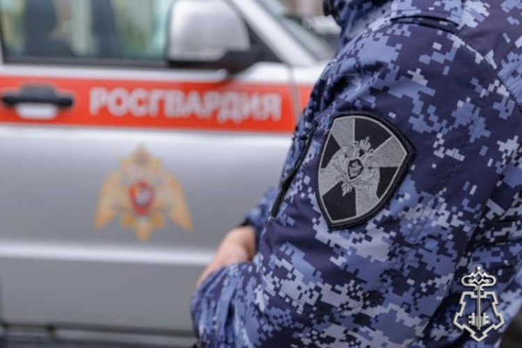 В Мордовии сотрудники вневедомственной охраны Росгвардии за неделю 97 раз выезжали по сигналу «Тревога»