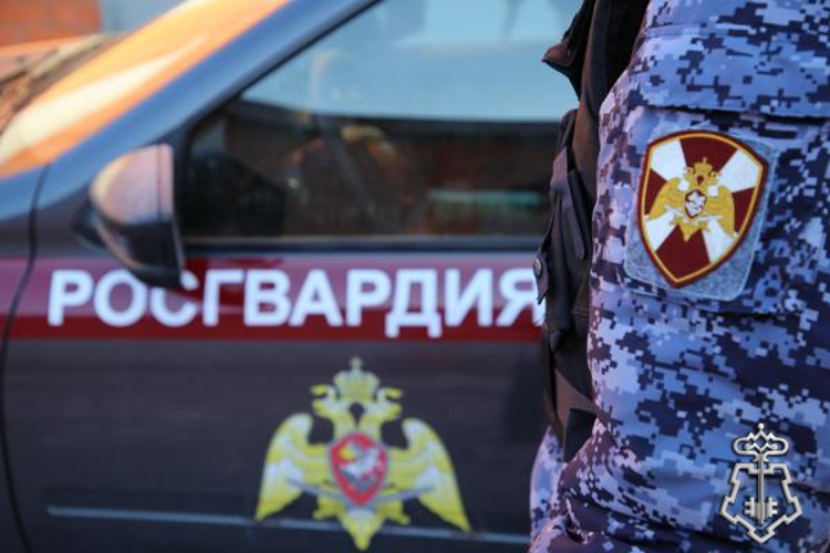 В Саранске росгвардейцы задержали двух нарушителей, затеявших драку из-за парковки