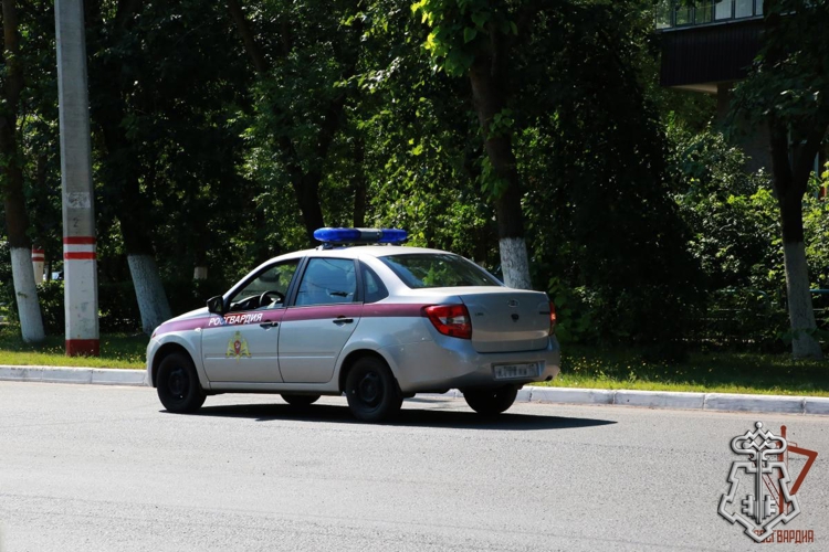 Сотрудники Росгвардии в Темникове задержали водителя, повторно севшего за руль в нетрезвом виде